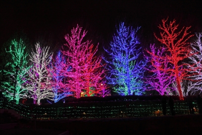 colortree